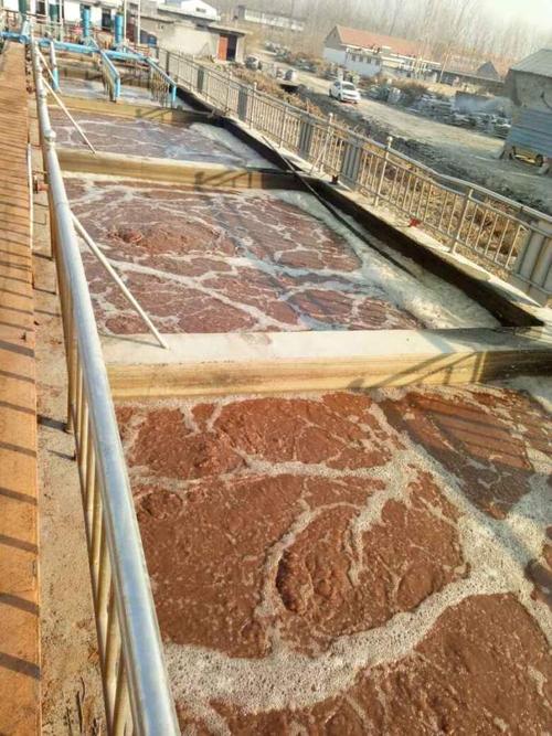 屠宰场废水水质和特点