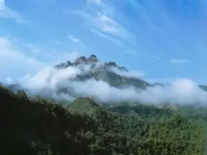 梧州万秀区第三方检测